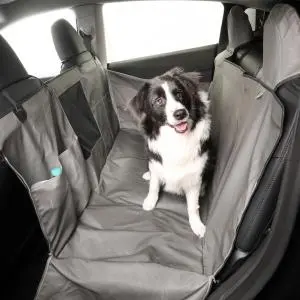 A black-and-white dog sitting on a gray protective cover across the rear seats of a vehicle.