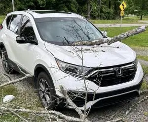 Fallen tree limb on the hood and cracked windshield of a white Honda CR-V before auto body repair in Cabot, Arkansas
