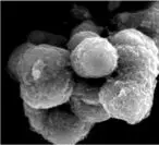 Xponential Battery Materials and SiCAM to develop silicon-sulfur battery platform